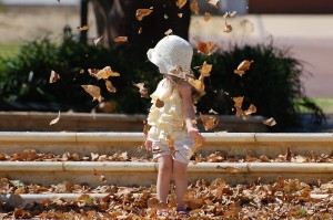 2882399-2-autumn-leaves