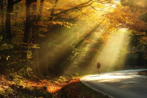 Riding in the Light entered into CPAWS People in Nature Photo Contest