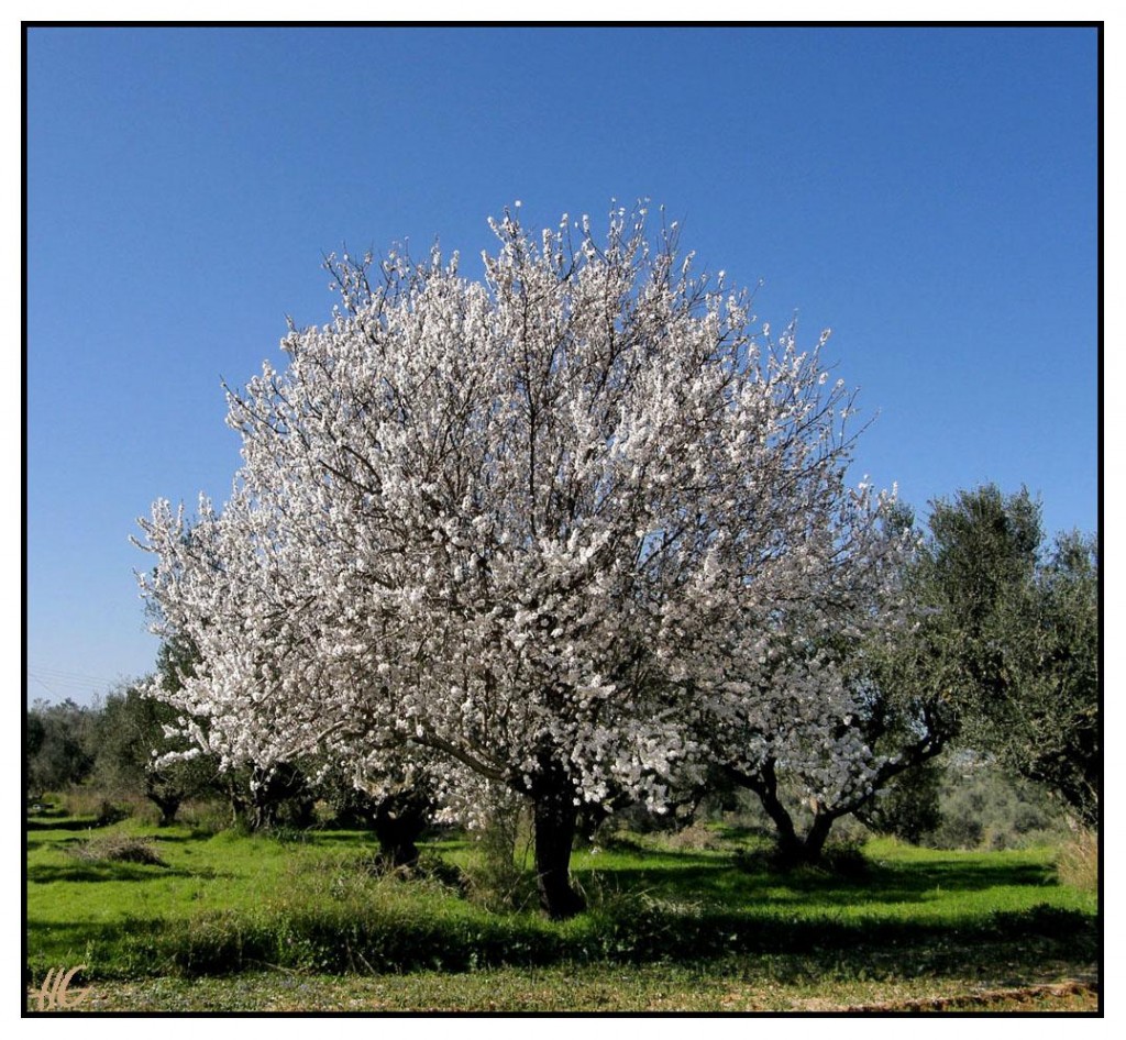 Υπάρχει Θεός;  ΙΙ